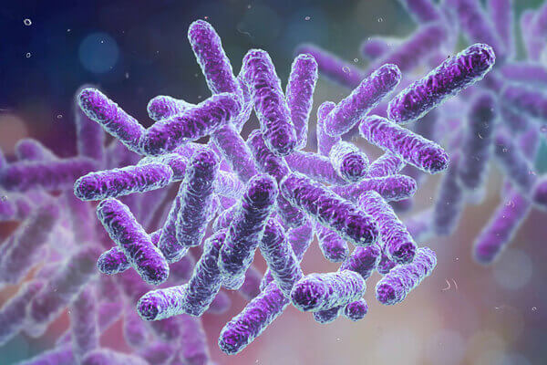 Vi khuẩn, virus, nấm, ký sinh trùng là những nguyên nhân gây ra bệnh viêm nội nhãn